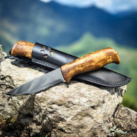 Helle Gaupe - profiltre